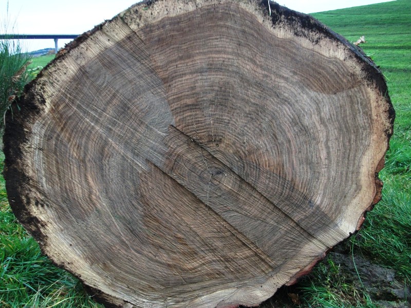 Landtreff1.JPG