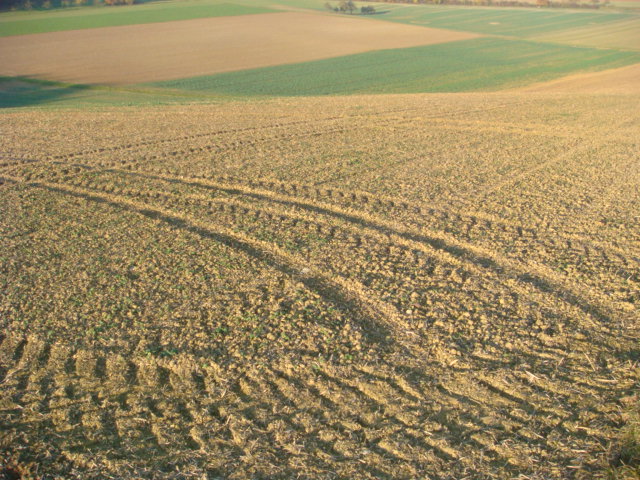 Fehlgeschlagener Grubber Rapsanbau.JPG