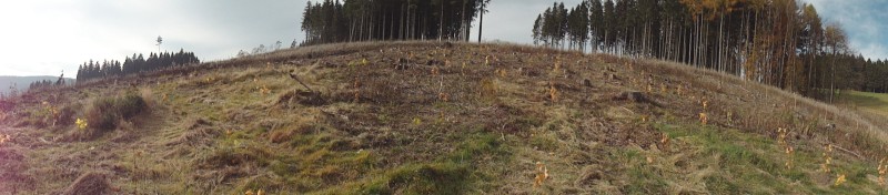 Panorama test.jpg