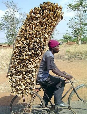 091119_Holztransport_bike_compressed_31,4.jpg