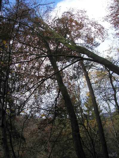 Haenger_PB040076_3.jpg