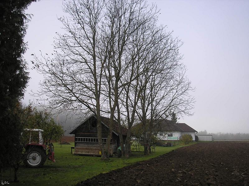Drei_Nussbäume_PB050090_2.JPG