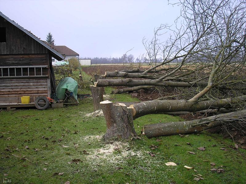 alles_liegt_PB050095_2.JPG