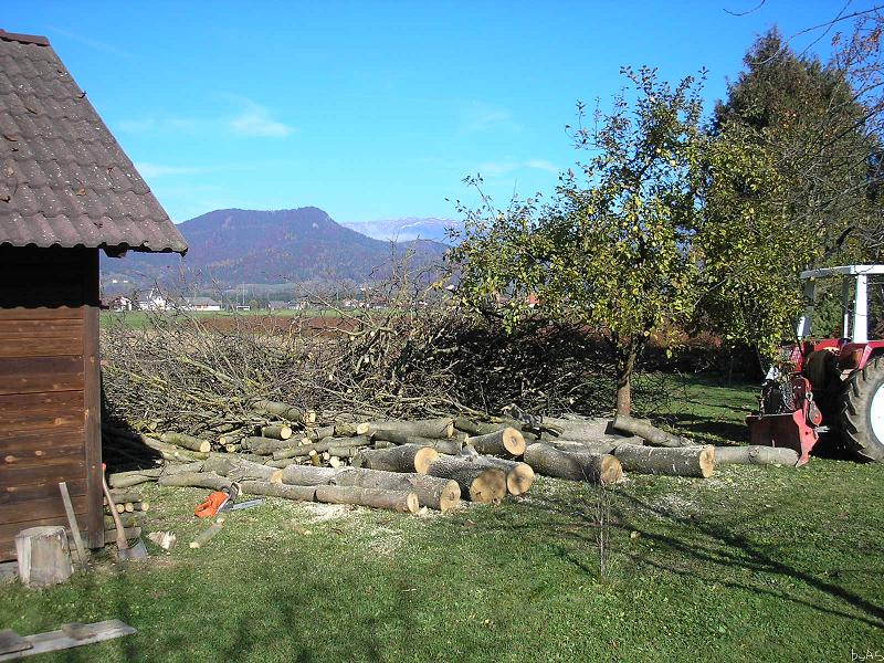 Brennholz_Ausbeute_PB050098_2.JPG