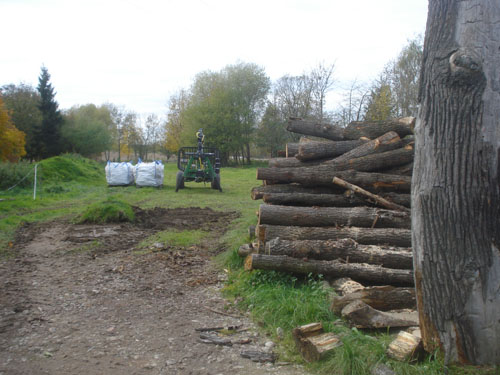 Brennholz1.jpg