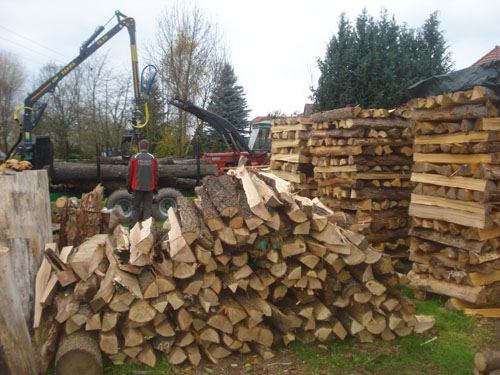 Brennholz2.jpg