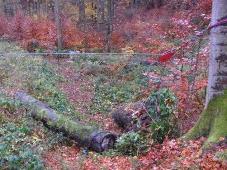 101106_Teufelsloch_Abt10_Los_4_05_compressed_57,6.JPG