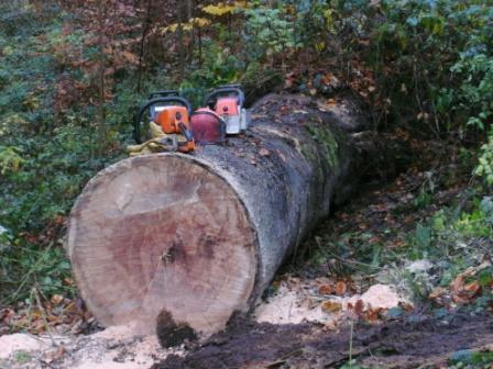 101106_Teufelsloch_Abt10_Los_4_09_compressed_57,6.JPG