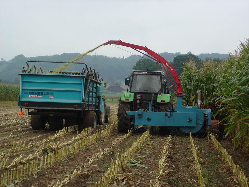 Deutz mit Mengele.jpg