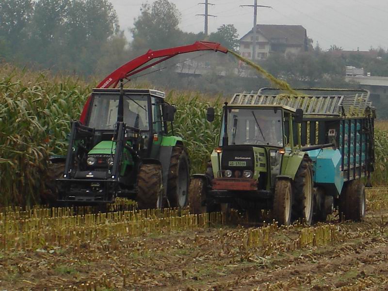 Deutz mit Mengele 02.jpg