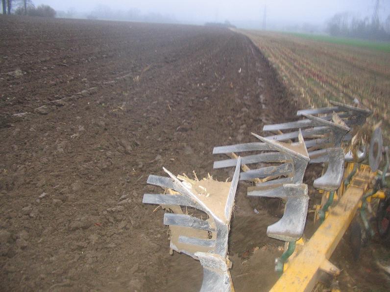 Acker, 800 Meter lang.jpg