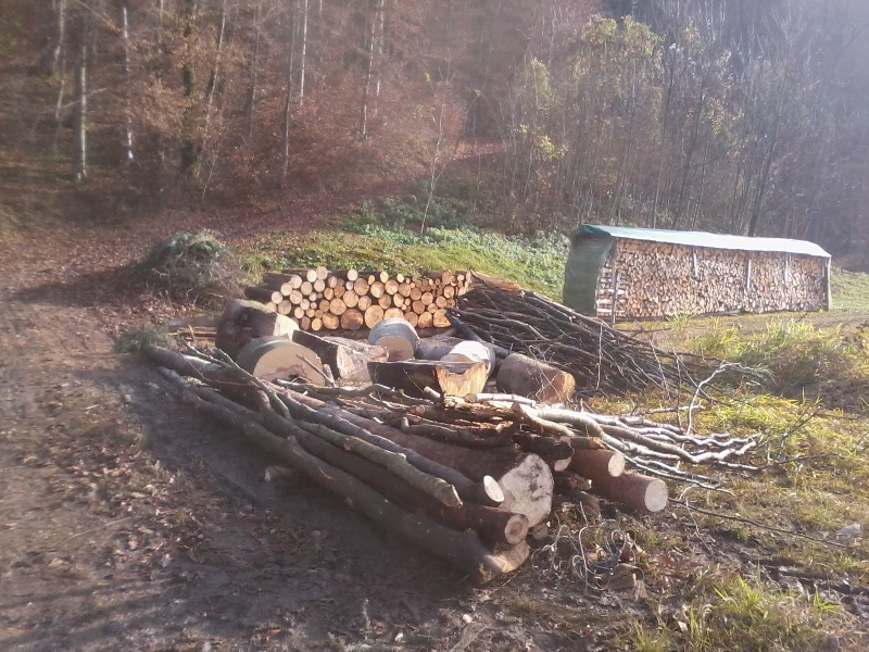 Foto0110.jpg