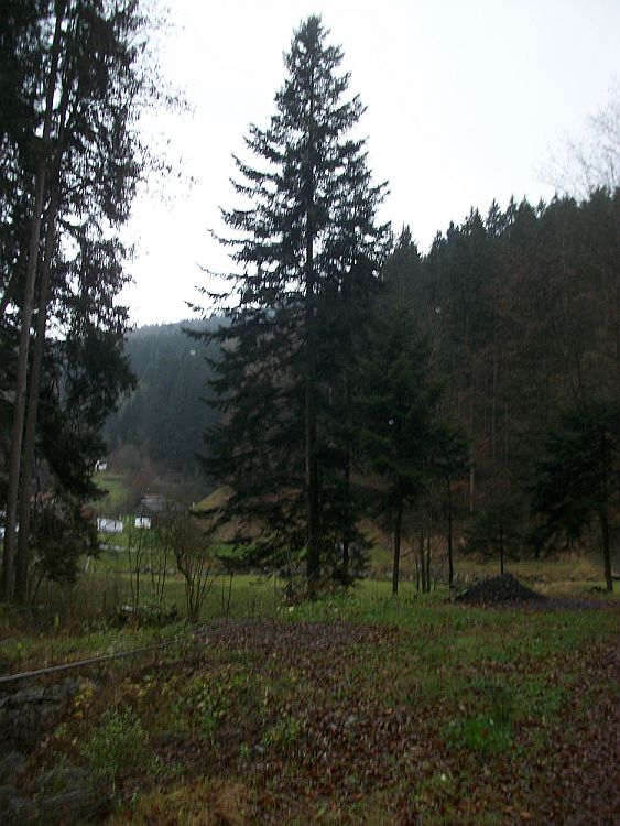 35.jpg