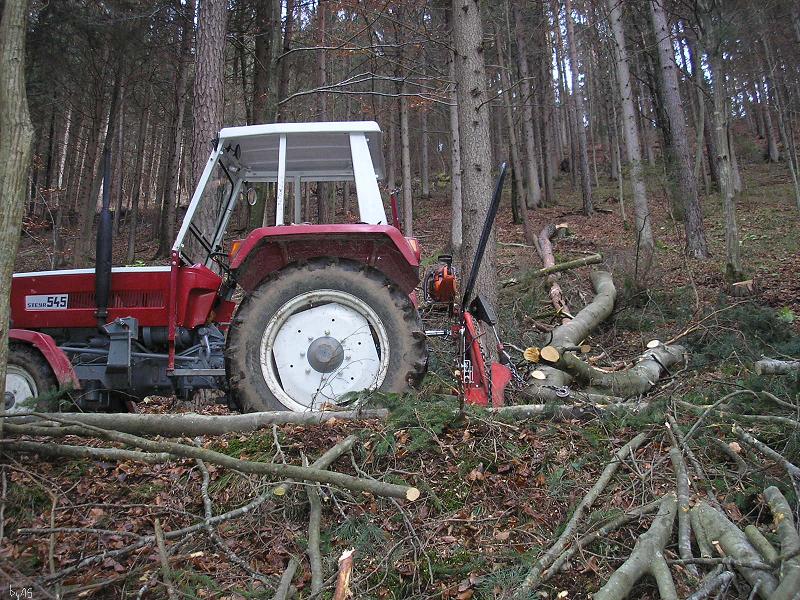 Kiefer_mit_reichlich_Beifang_PB230010_2.JPG