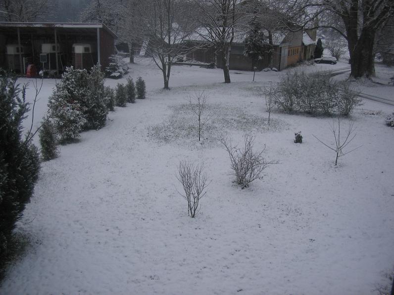 Erster Schnee Bei uns.jpg