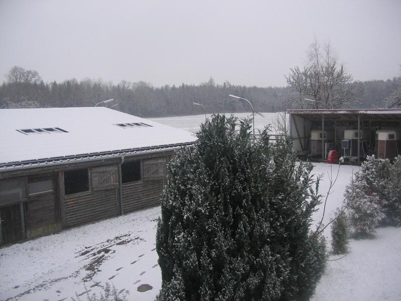 Erster Schnee Bei uns 2.jpg