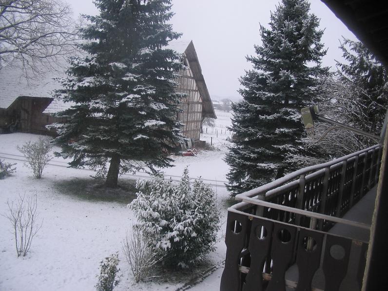 Erster Schnee Bei uns 3.jpg