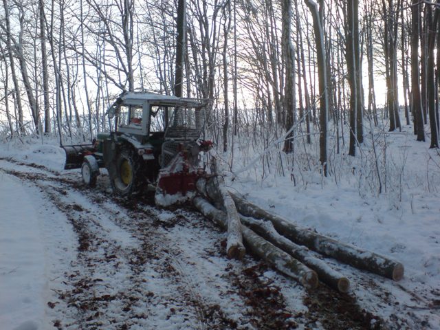 DSC00004.JPG