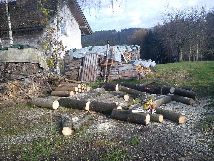DSC00050.JPG