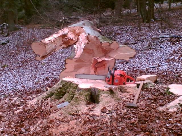 buche 26.11.jpg