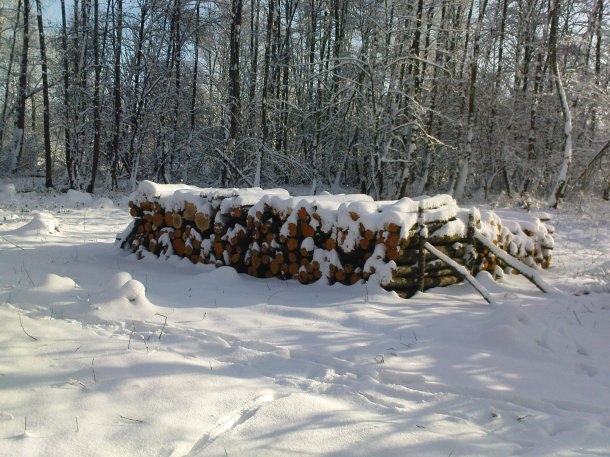 3 Weitere Haufen.jpg