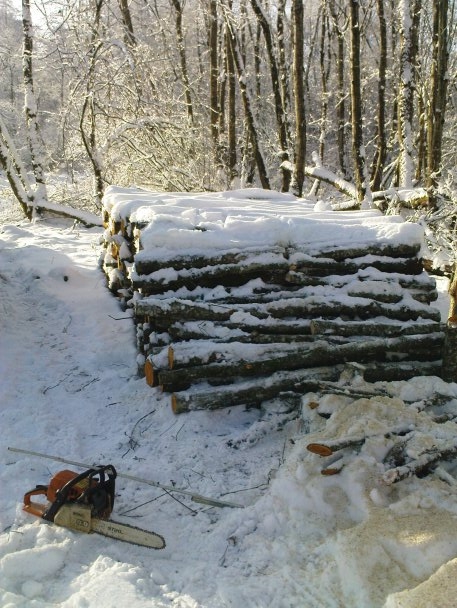 Haufen auf 1m sägen.jpg