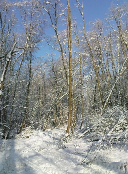 schön bei diesem Wetter zu arbeiten.jpg