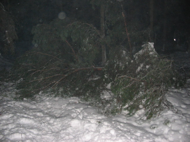 schneebruch 06.12.10 003.JPG