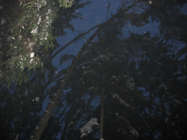 schneebruch 06.12.10 005.JPG