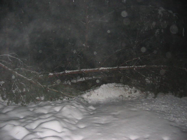 schneebruch 06.12.10 008.JPG