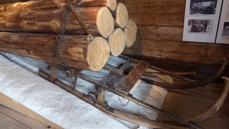 P1050614 (Medium).JPG