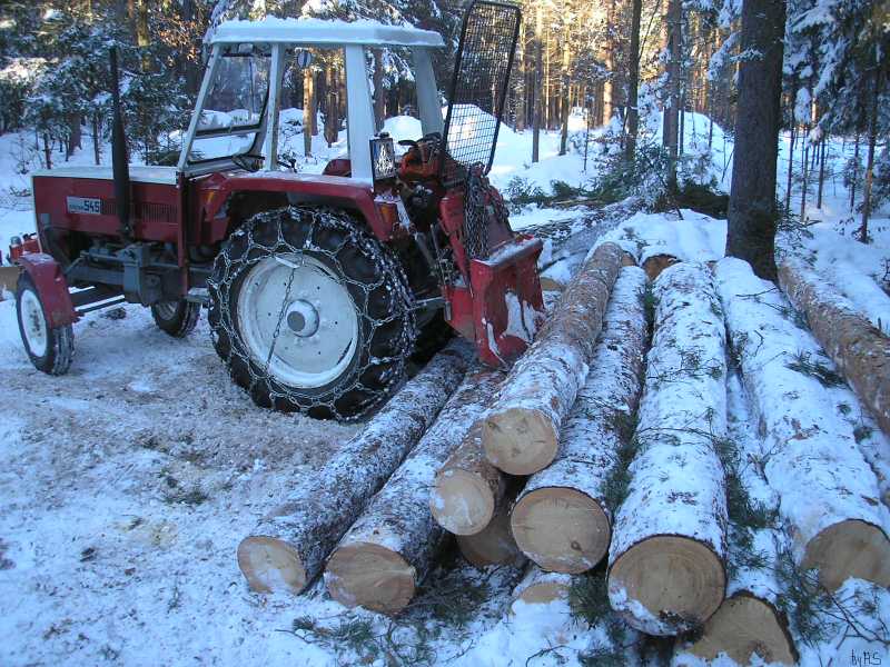 Poltern_mit_Schneeketten_PC200017_2.jpg