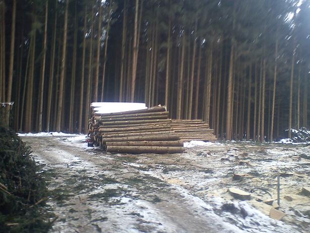 wald4.jpg