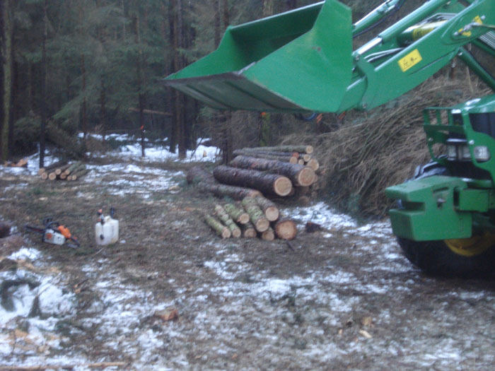 Lärche LAS und Brennholz 2.jpg