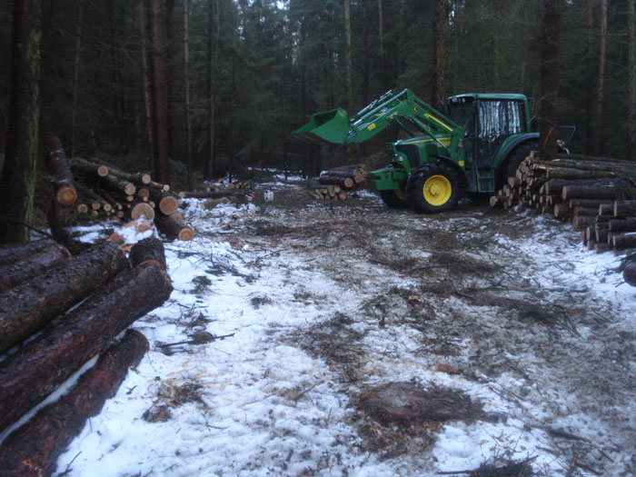 Lärche LAS und Brennholz 1.jpg