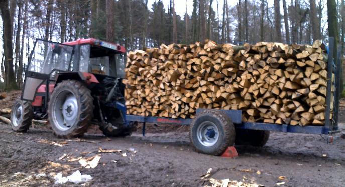Holz01.jpg