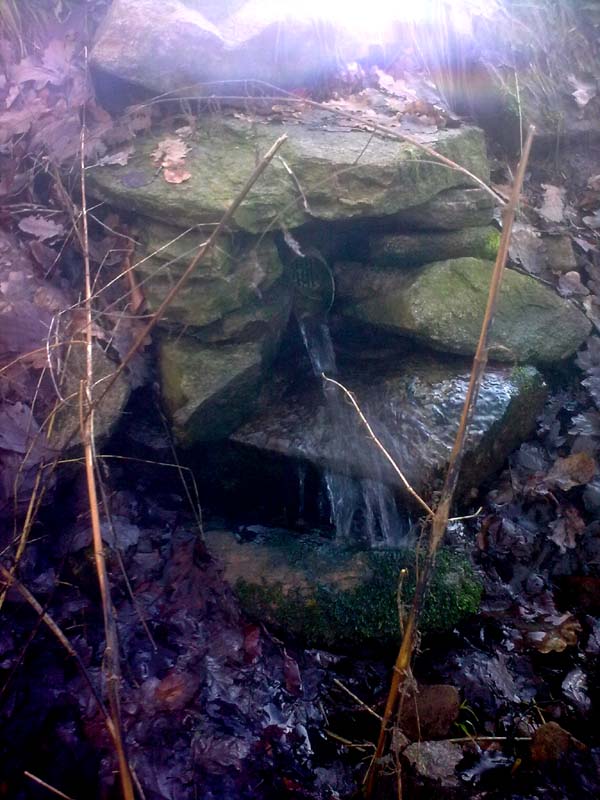 Drainagenabfluss der Weide.jpg