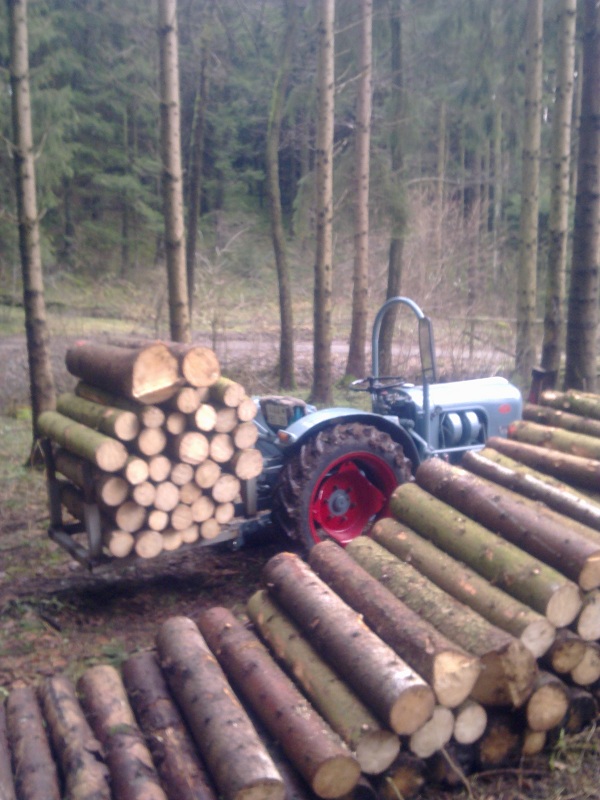Brennholz 006.jpg