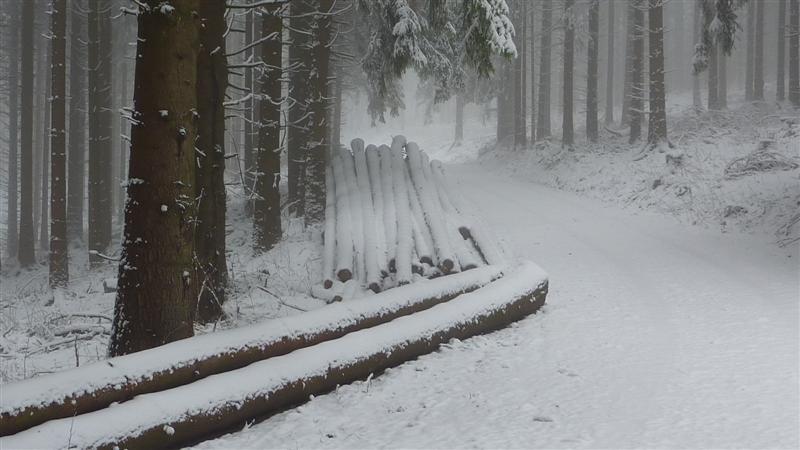 Polter 1 (Medium).JPG