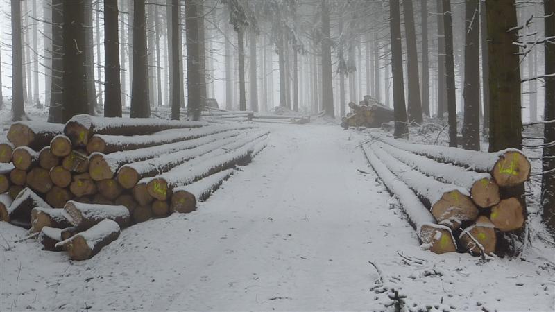 Polter 2+3 (Medium).JPG