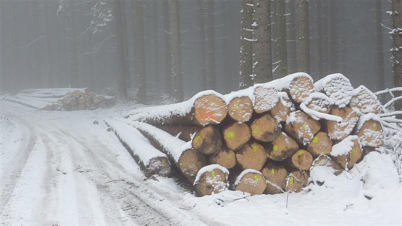 Polter 8 (Medium).JPG