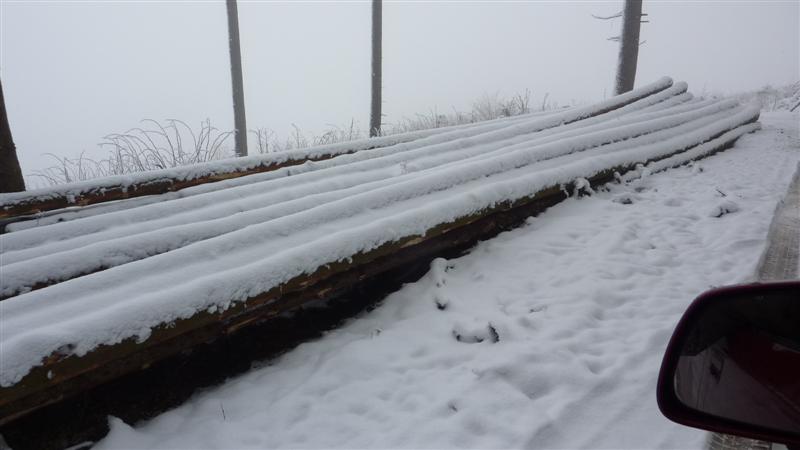 Polter 23 (Medium).JPG