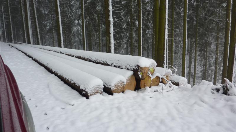 Polter 29 (Medium).JPG