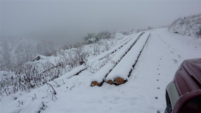 Polter 31 (Medium).JPG