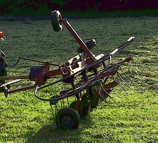 Heuernte+ Katzen+ Zelt+Garten 062zuschnitt.jpg