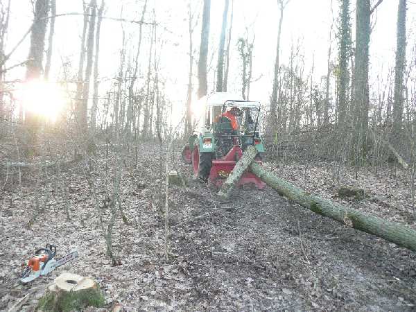 Farmer 200 Wheelie.JPG