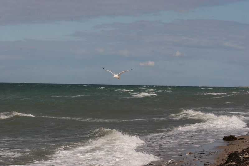 Ostsee.JPG