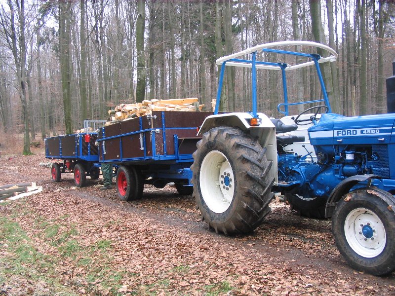 ca 8ster Buchenholz.JPG