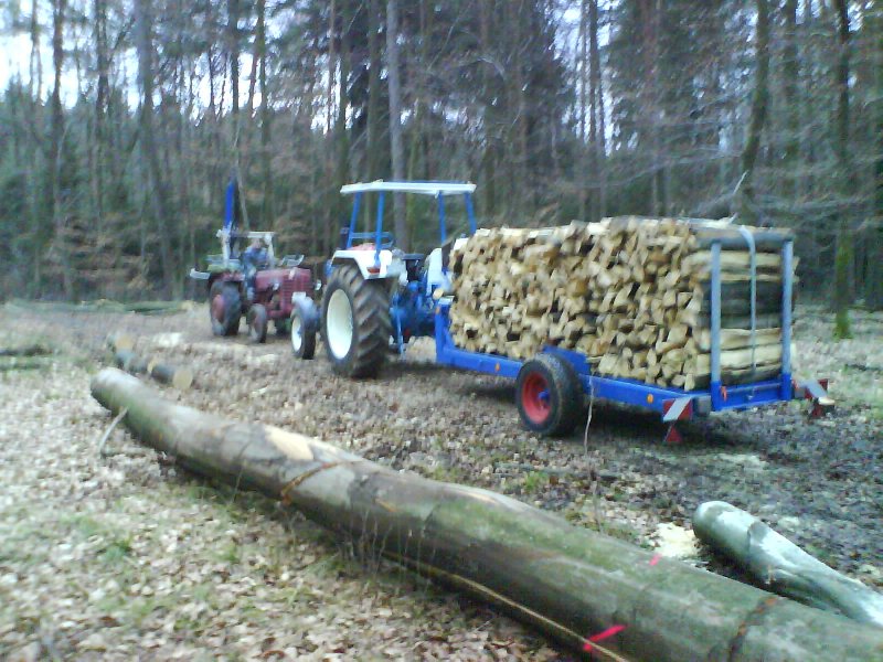 erste Aktion mit dem Eigenbau Meterholz-Wagen.JPG