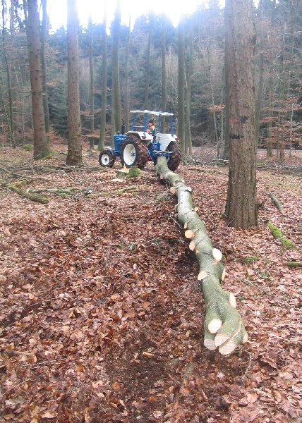 Rücken mit Ford 4600.JPG